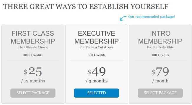 payment options of establishedmen.com