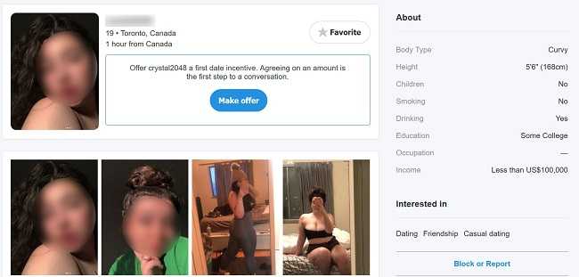A sugar baby's profile of whatsyourprice.com